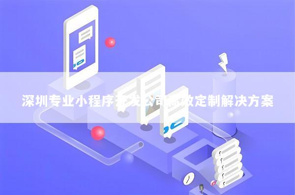深圳专业小程序开发公司高效定制解决方案